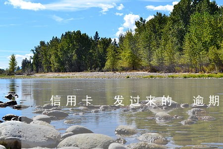 信用卡 发过来的 逾期